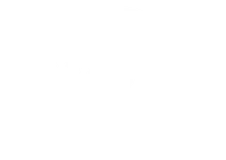Logo VDL TV